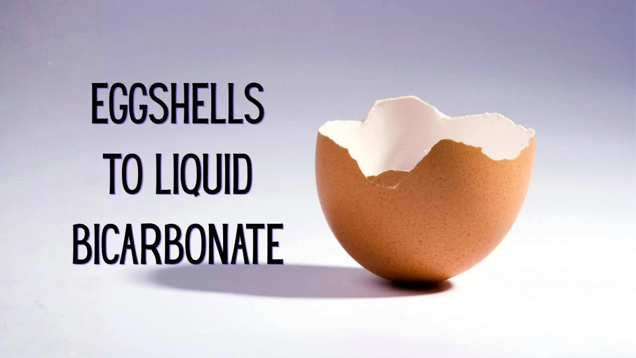 Eggshells into Liquid Calcium