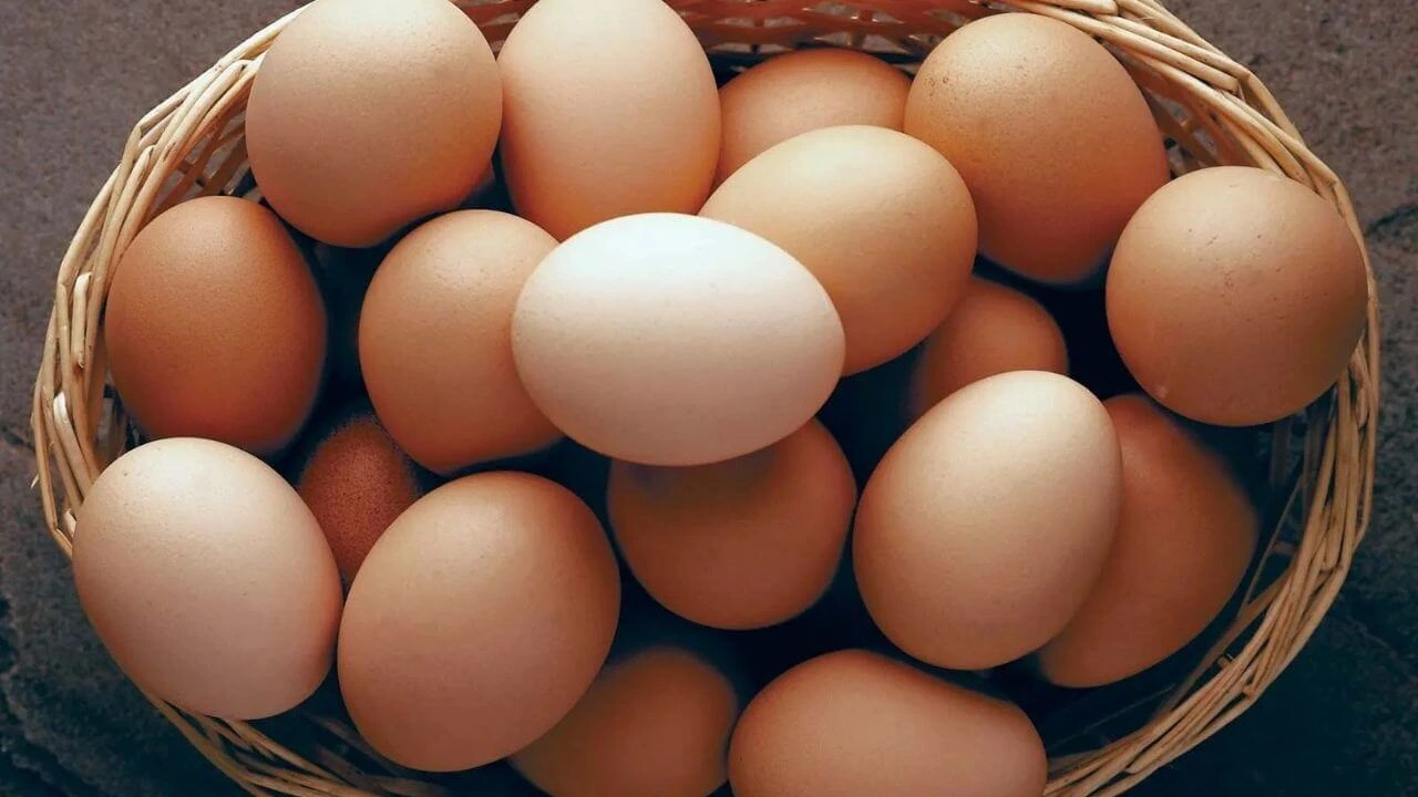 Eggs in Summer Myth