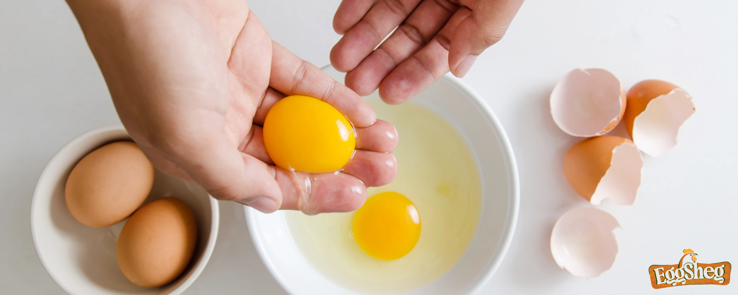 Omega-3 enriched eggs - Egg Sheg