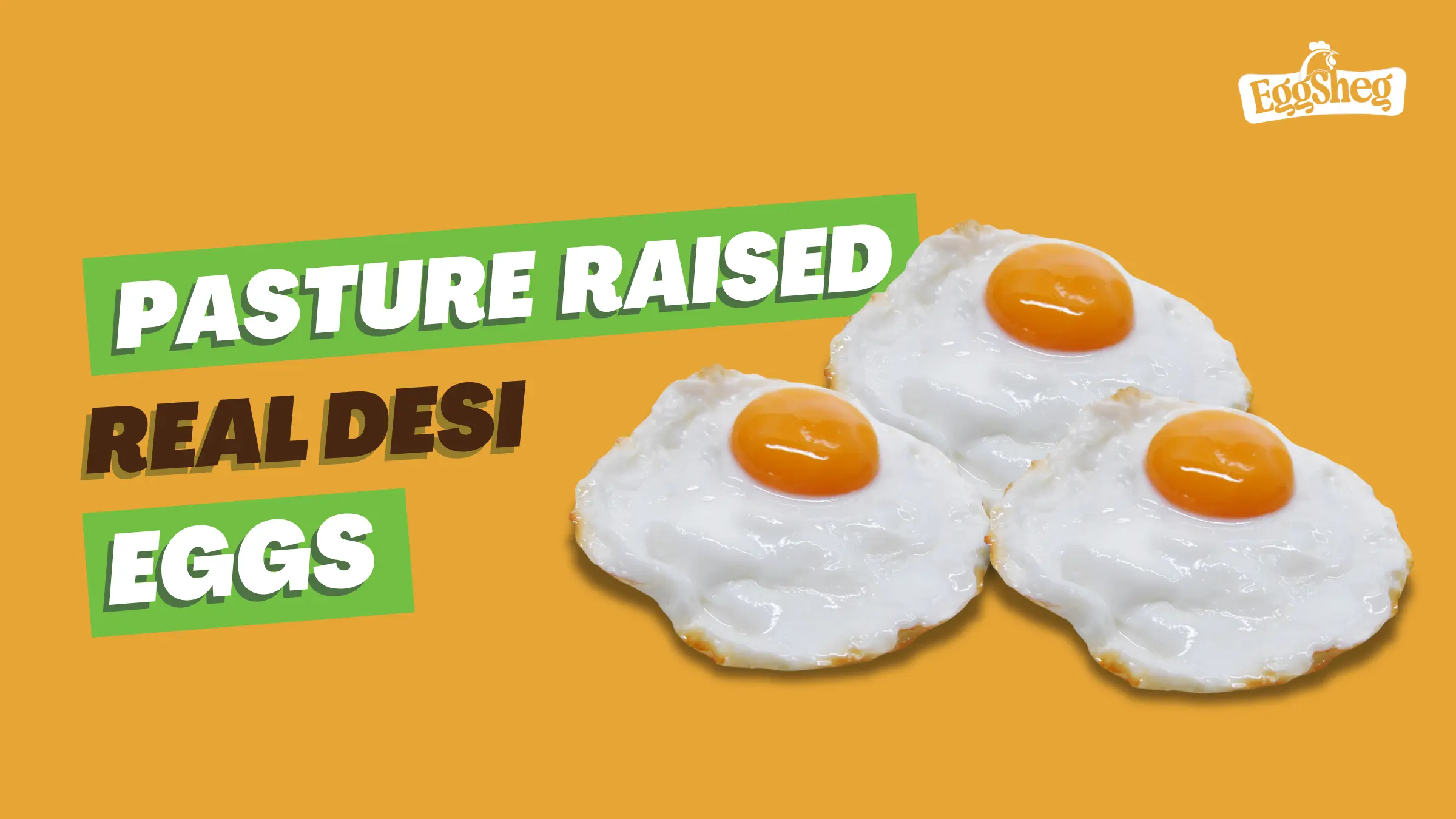 Pasture Raised Eggs | Egg Sheg