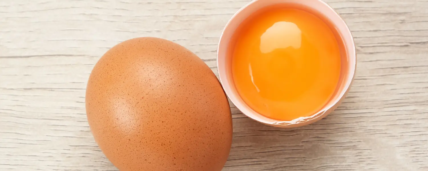 Protein in an Egg Yolk - Egg Sheg
