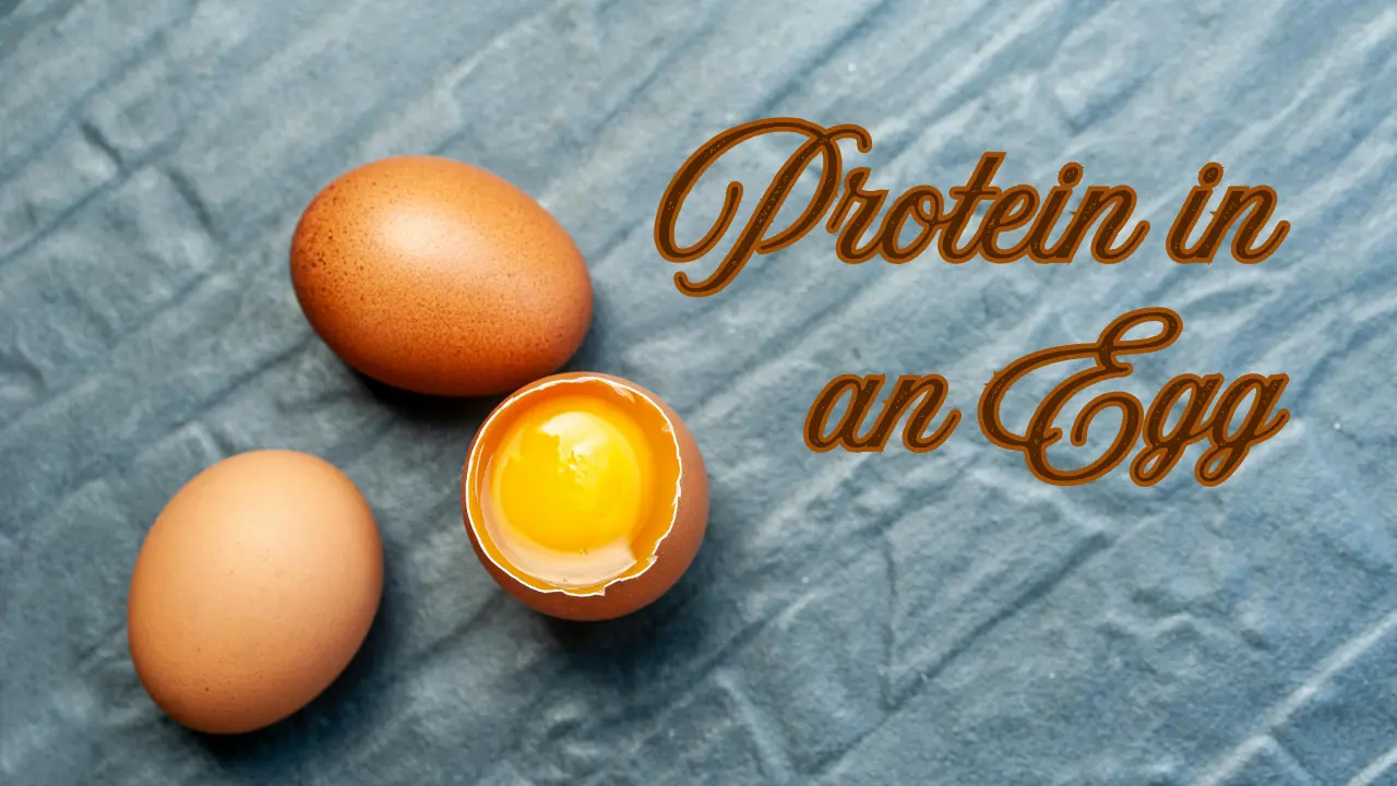 Protein in an Egg - Egg Sheg