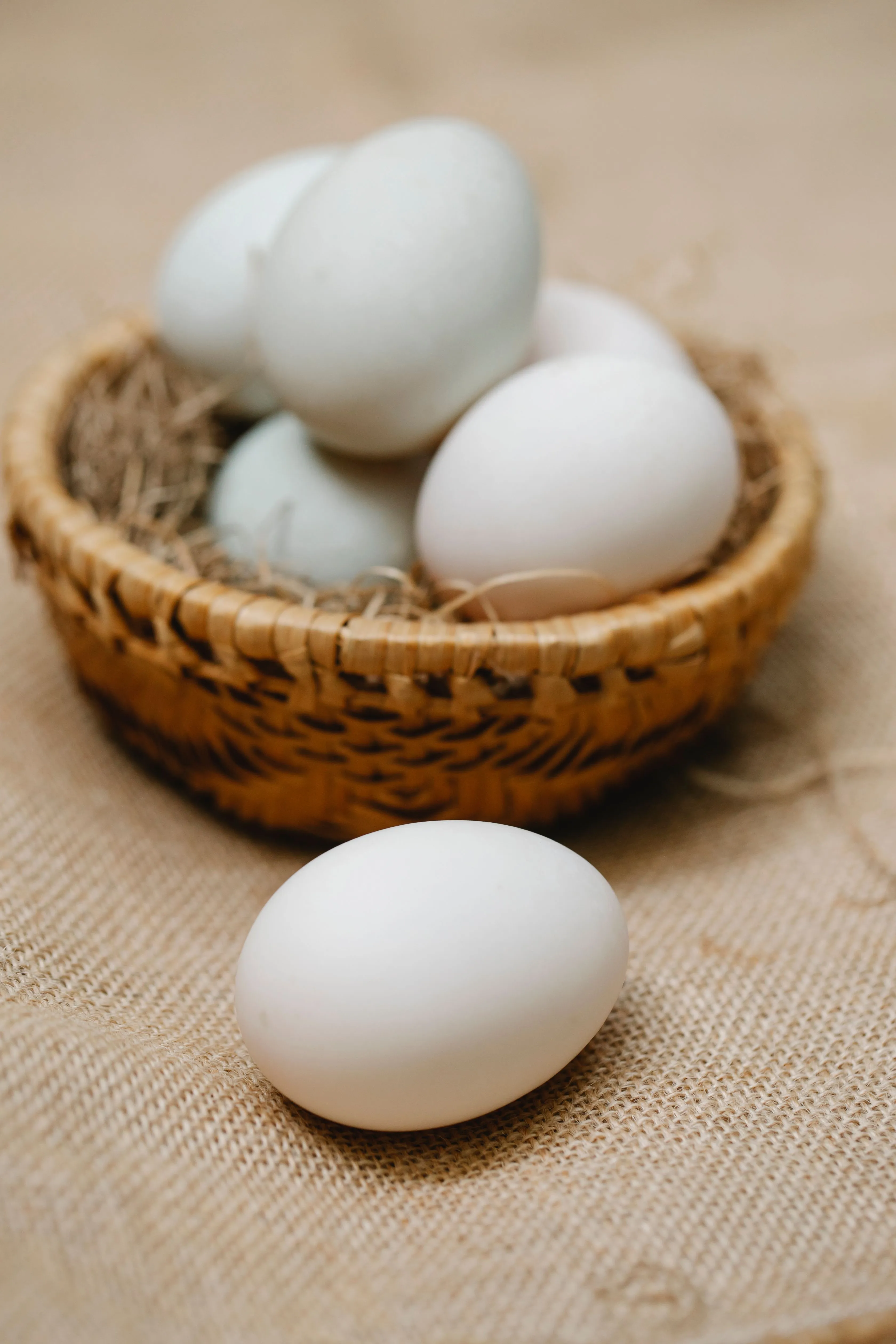 Fresh tray of Egg Sheg premium organic white eggs — hormone-free, free-range protein source